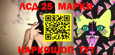 амф Дубна