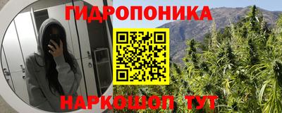 амф Дубна