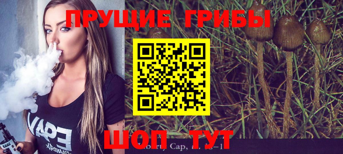Набережные Челны  Псилоцибиновые грибы MAGIC MUSHROOMS  Галлюциногенные грибы Psilocybine cubensis  Вход с VPN 