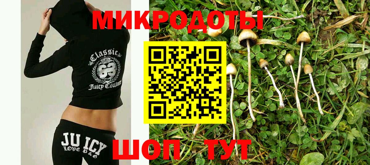 Псилоцибиновые грибы прущие грибы Набережные Челны